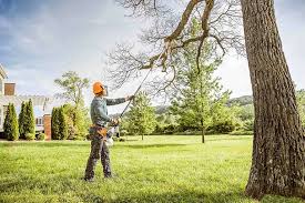  Harveys Lake, PA Tree Services Pros